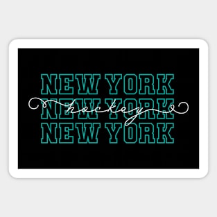 PWHL Hockey New York Magnet